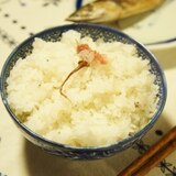 桜満開、お花見弁当にも、桜とじゃこの炊き込みご飯